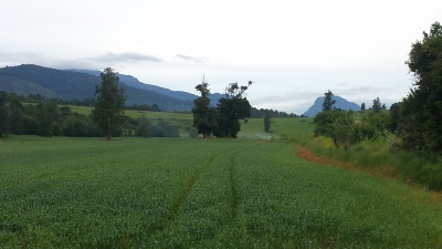 Venta-de-Parcela-en-Futrono-Lago-Ranco